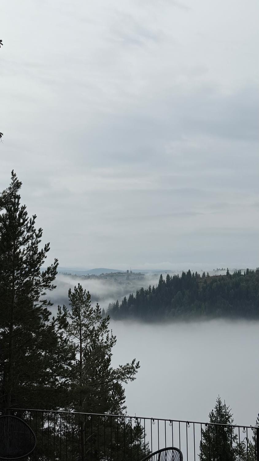 TheNest Chalet in Cluj County
