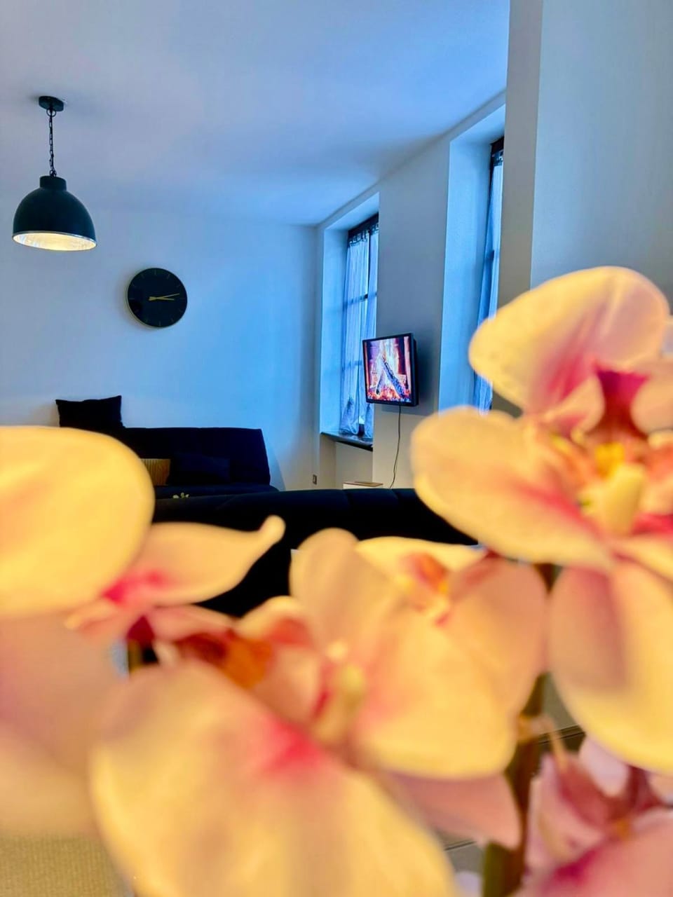 Communal lounge/ TV room