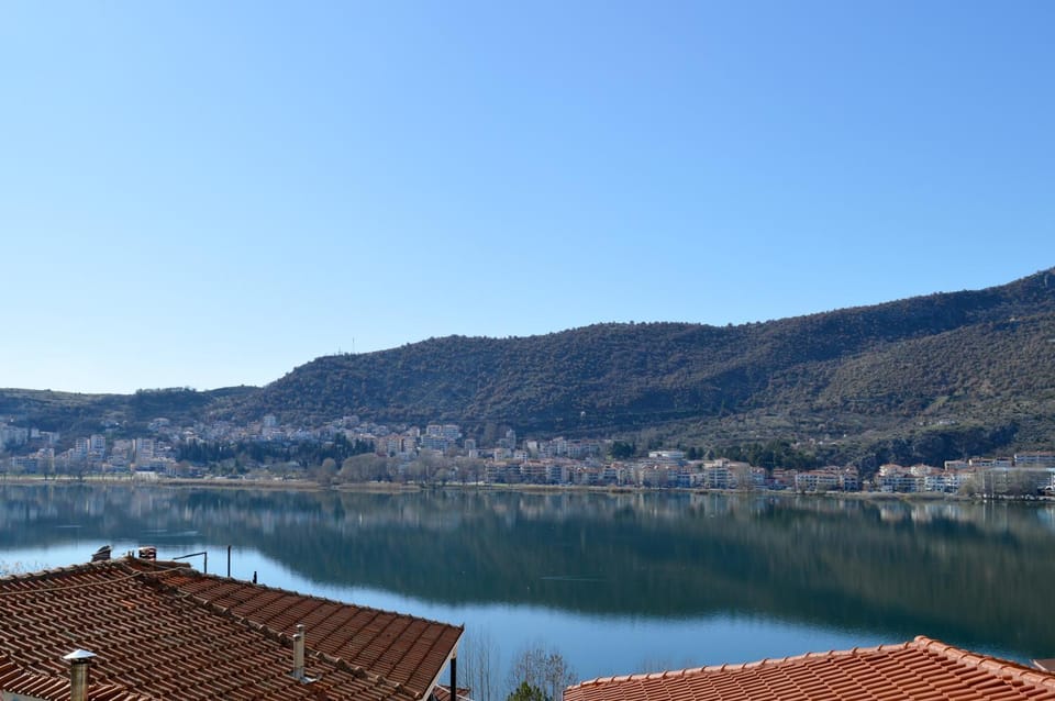 Lake view