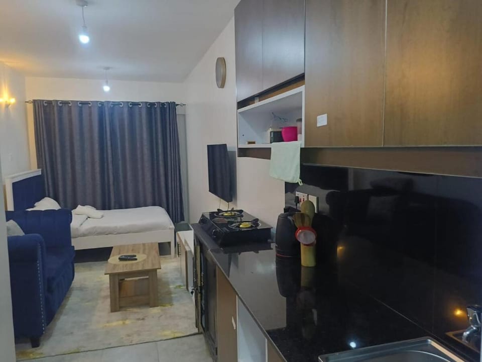 Legatus Cozy Studios 2 Ongata Rongai Apartment in Nairobi