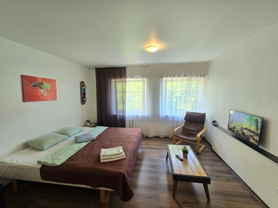 Photo of the whole room