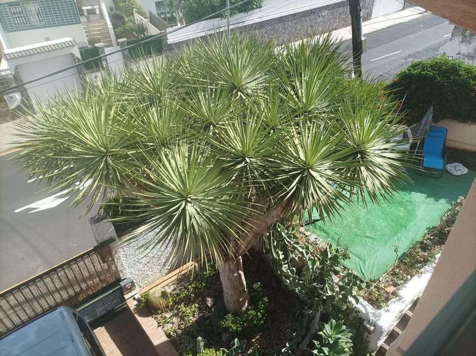 Casa Quico 2 Bed and Breakfast in Santa Cruz de Tenerife
