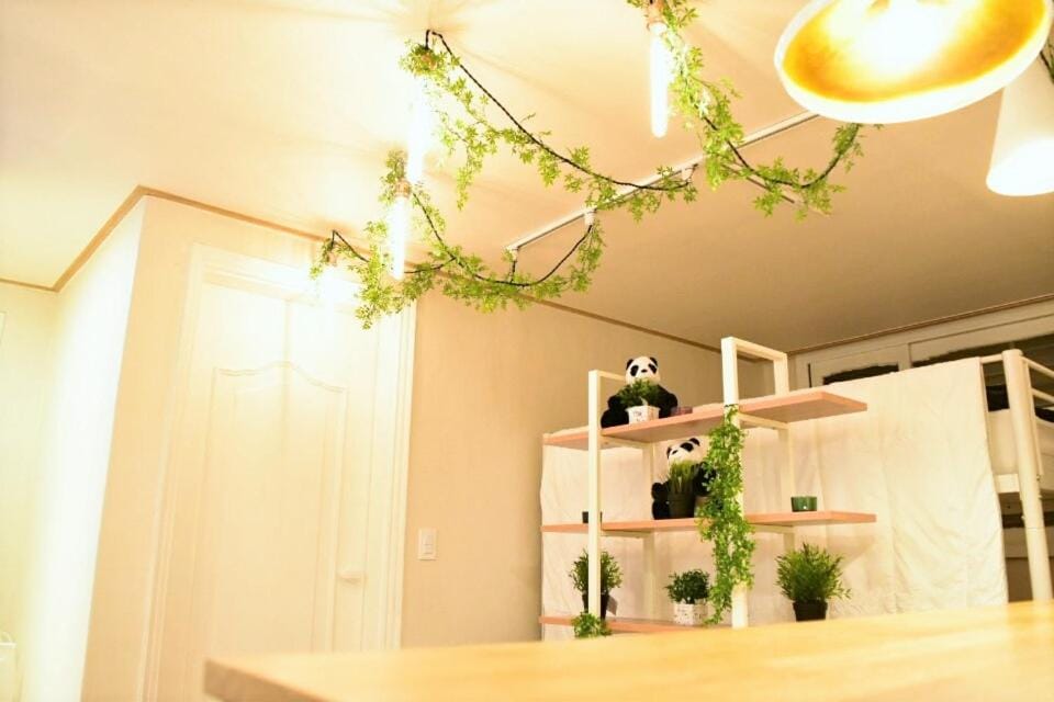 Serene stay Hostel in Seoul