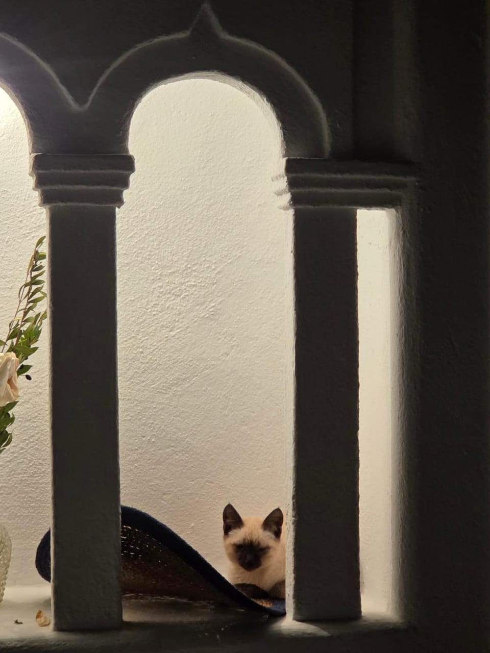 L'autre Dar Rita Bed and Breakfast in Tunisia