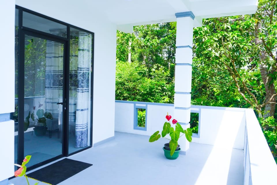 Garden view