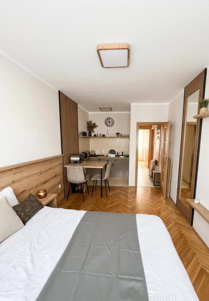 Studio apartment Art Zone III Apartment in Podgorica