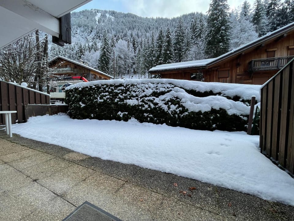 Alpine Serenity Apartment in Montriond