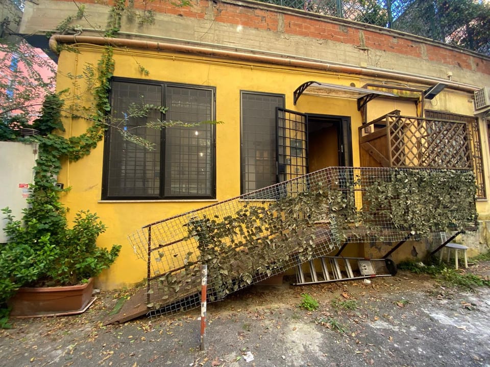 Property building, Patio, Spring, Day