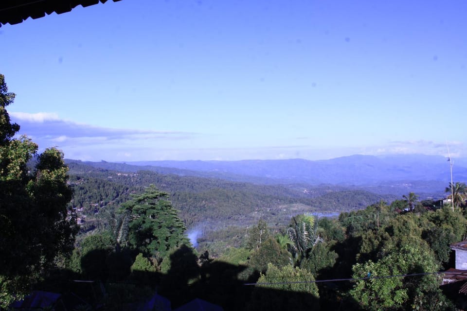 Summer, On site, Garden view, Time of day