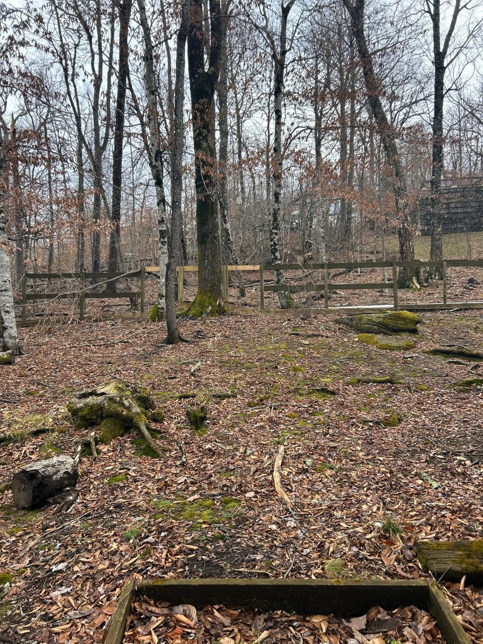 Natural landscape
