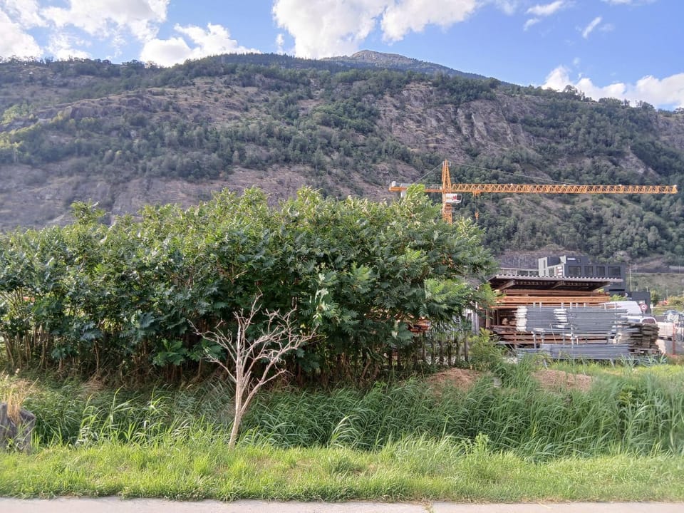 Hotel Garni Hotel in Canton of Valais