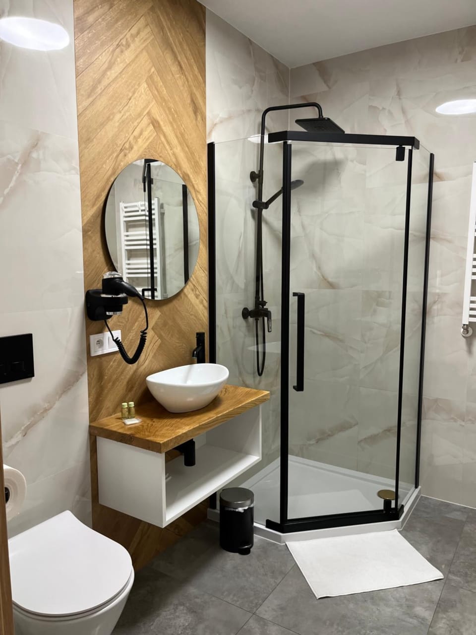 Shower, Toilet, Bathroom, hair dryier