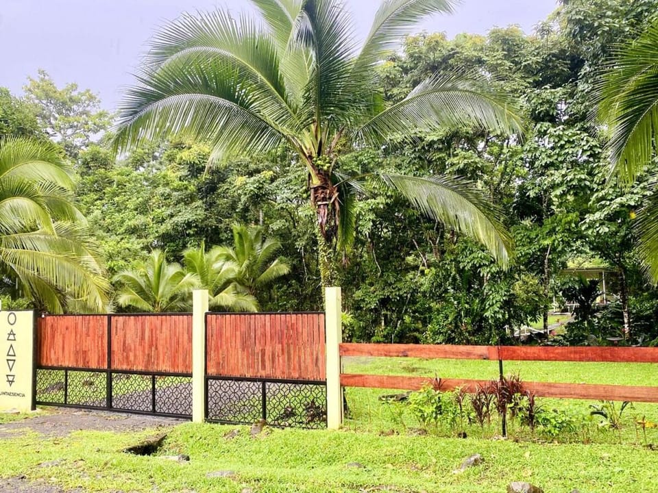 Quintaesencia Arte y Naturaleza House in Heredia Province