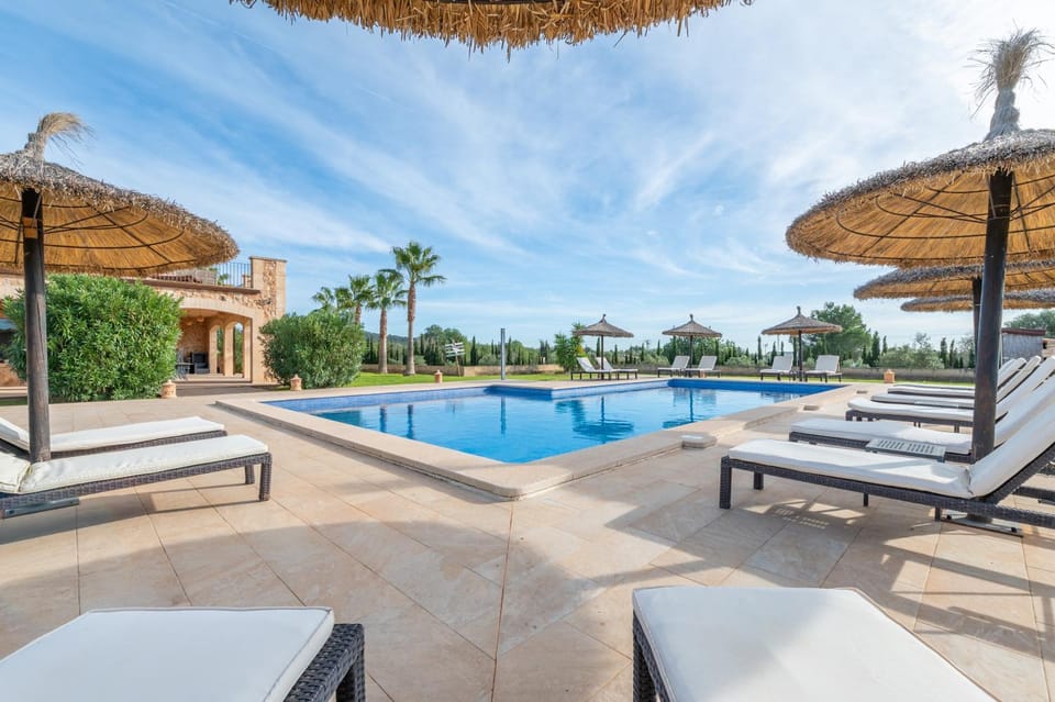 Day, Balcony/Terrace, Swimming pool, Swimming pool, sunbed