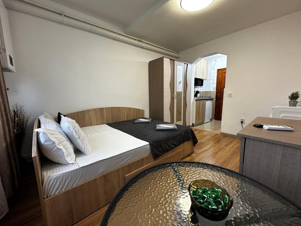 Tina Place 2 Apartment in Romania