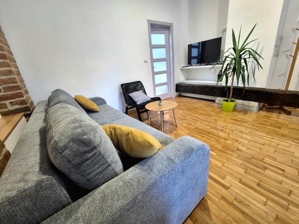 Roof Apartment in Belgrade