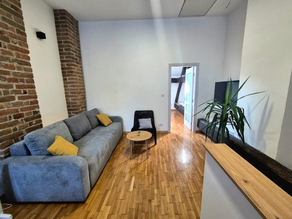 Roof Apartment in Belgrade