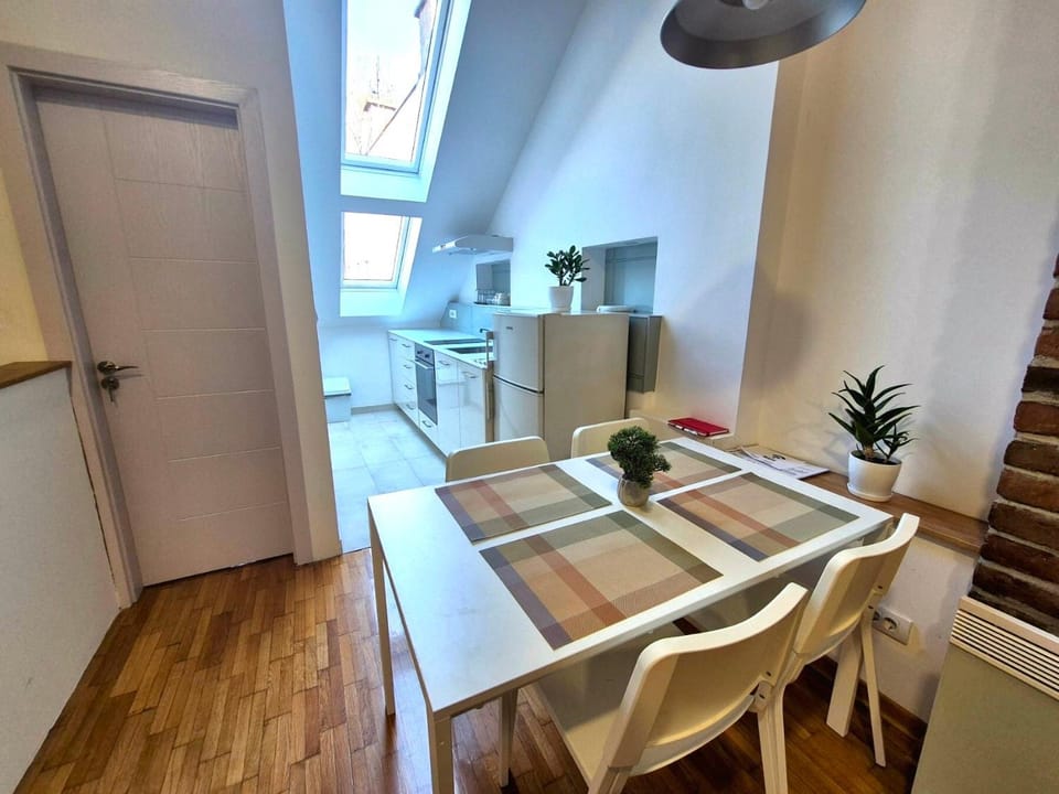 Roof Apartment in Belgrade