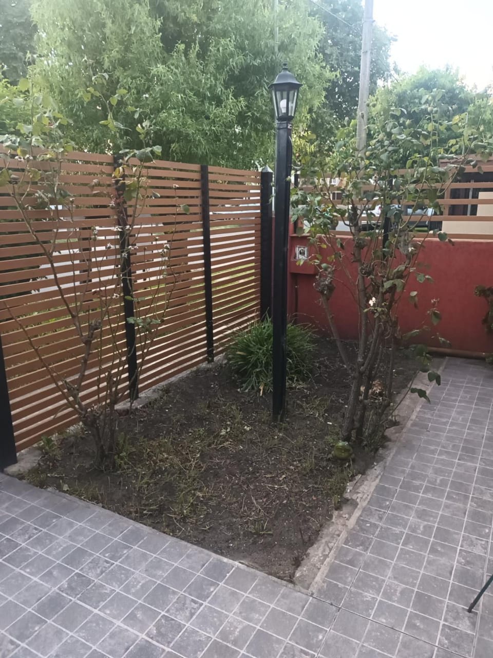 Day, Garden view