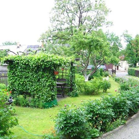 Spring, Day, Natural landscape, Garden, Garden view