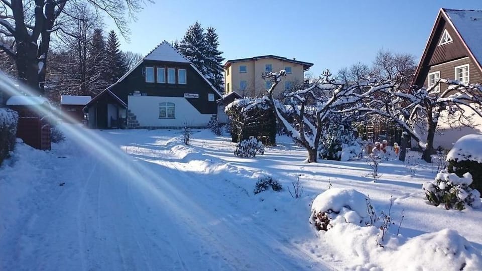 Property building, Winter