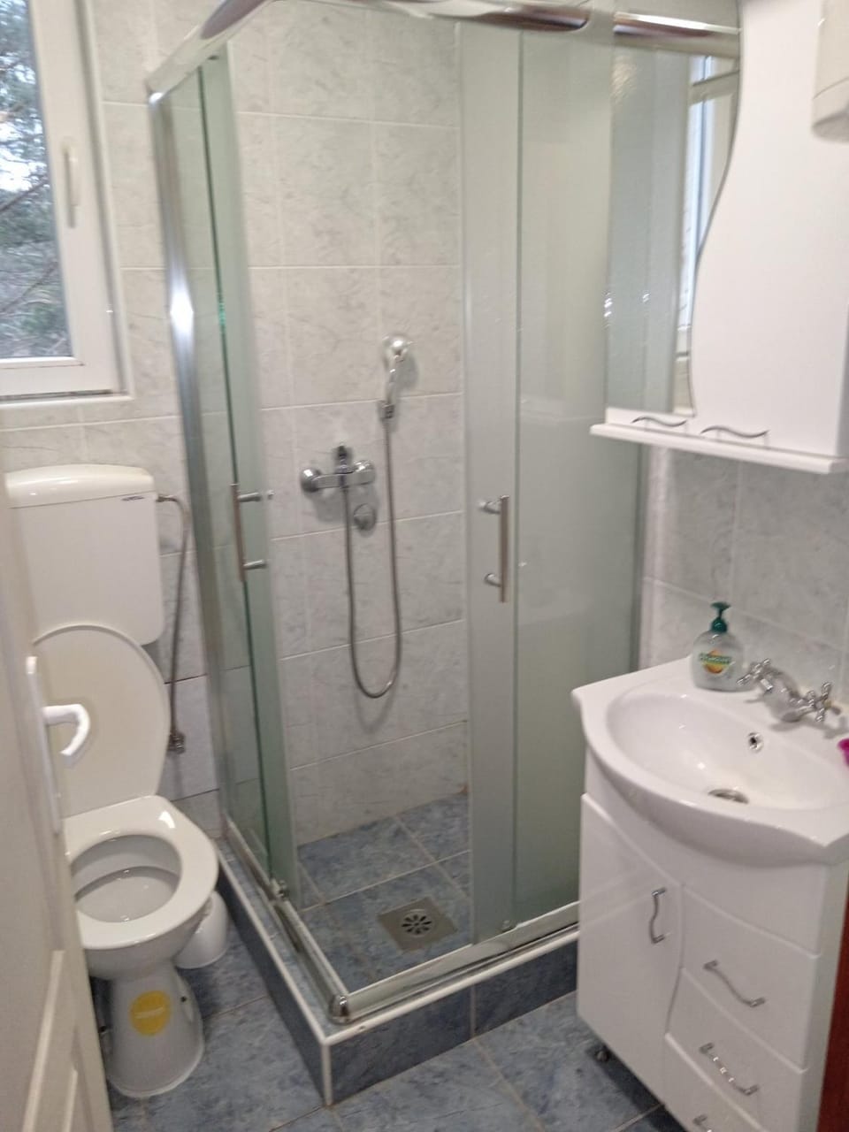 Apartman Viktor Apartment in Zlatibor District, Serbia