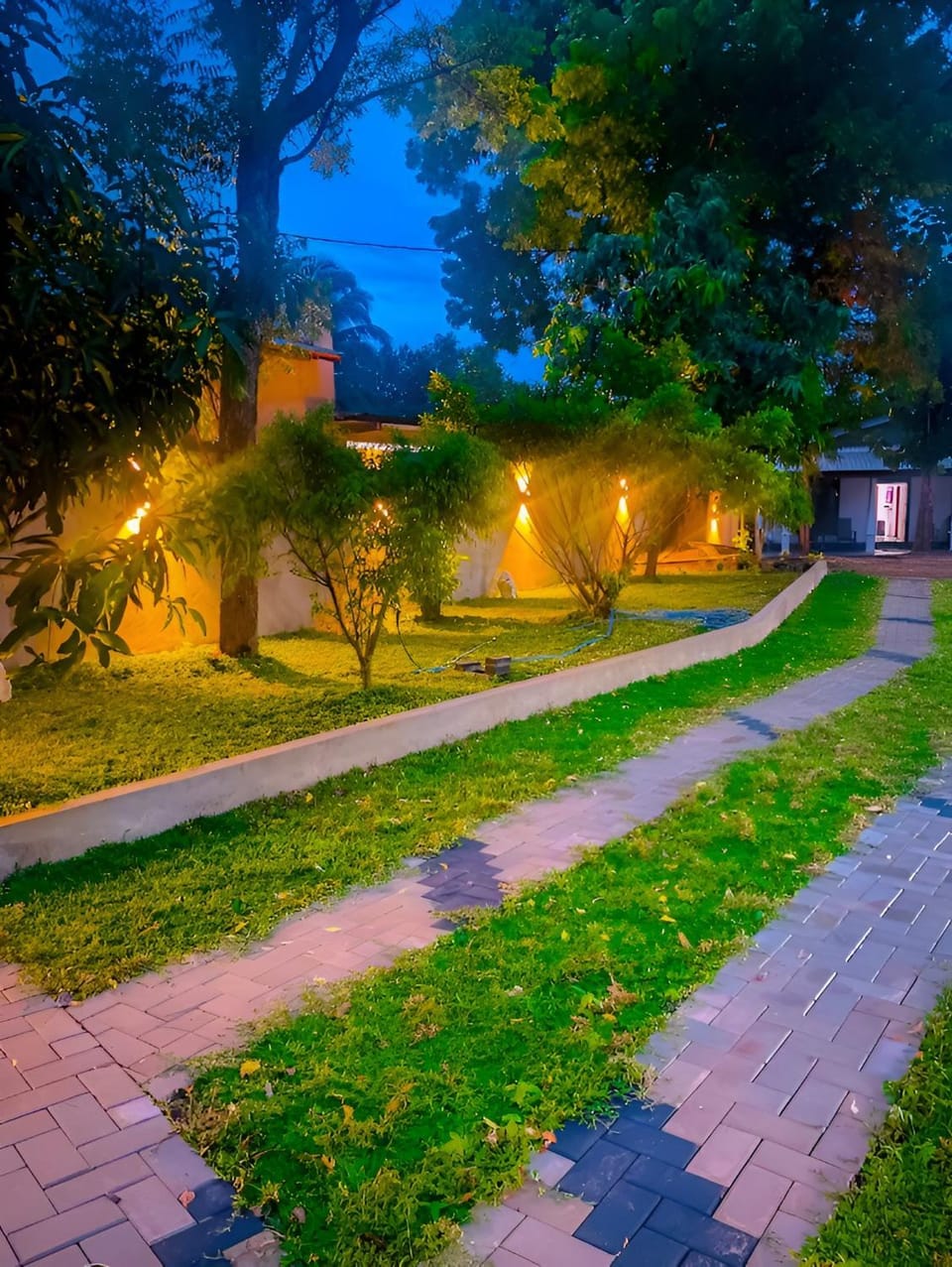 Garden
