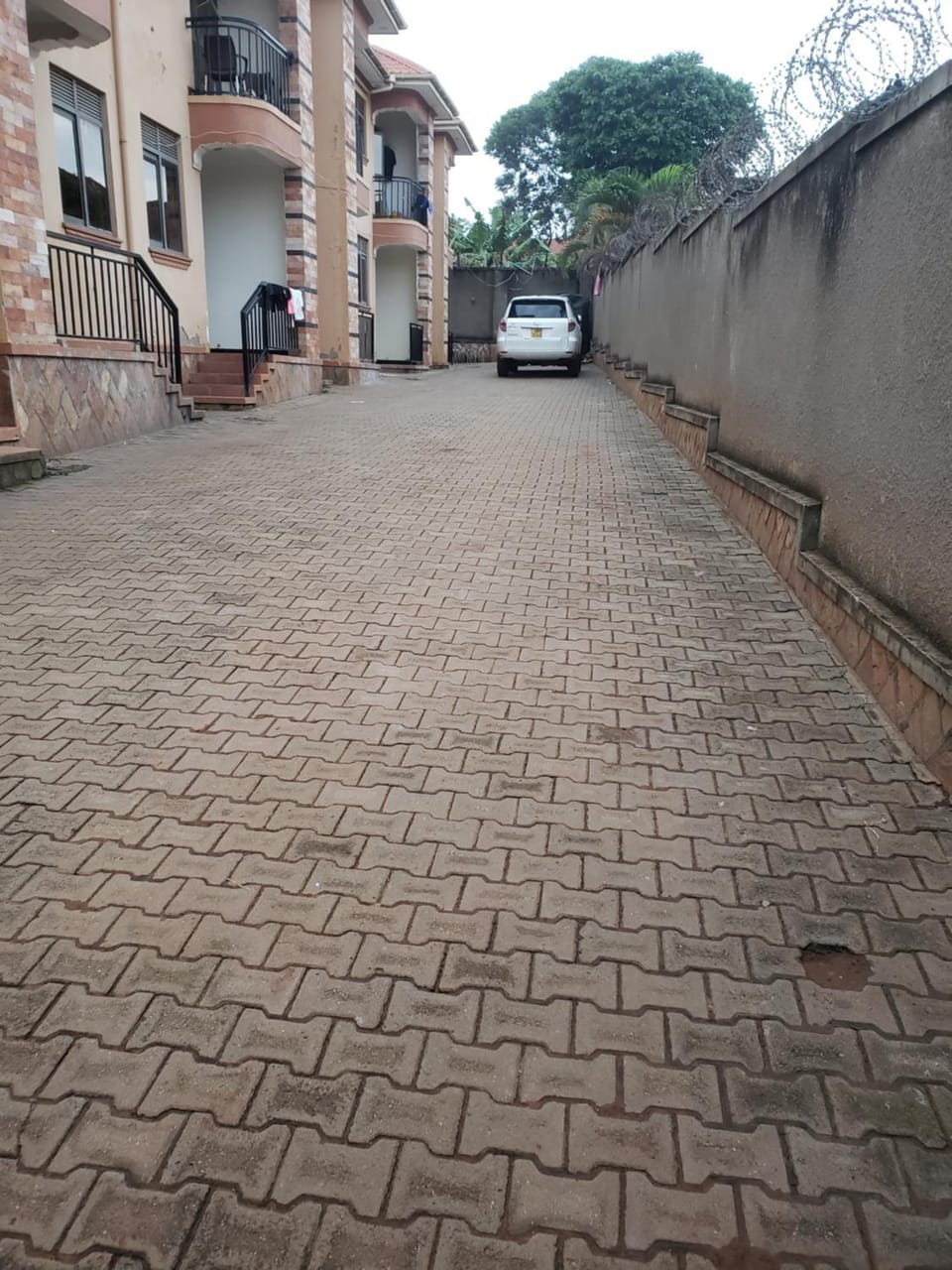 safari chic retreat in Kampala Apartment in Kampala