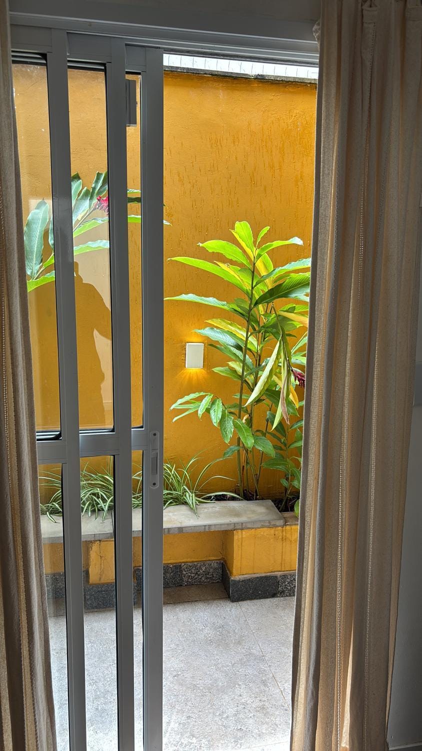 Garden view
