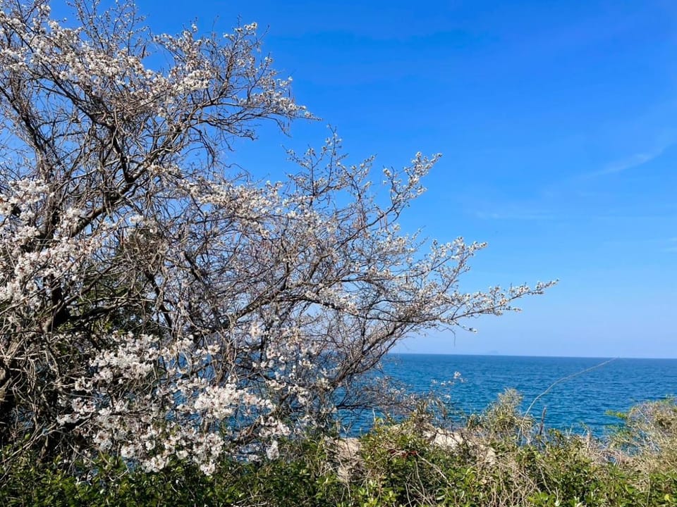 音毬 - Otomari - Villa in Kyoto Prefecture