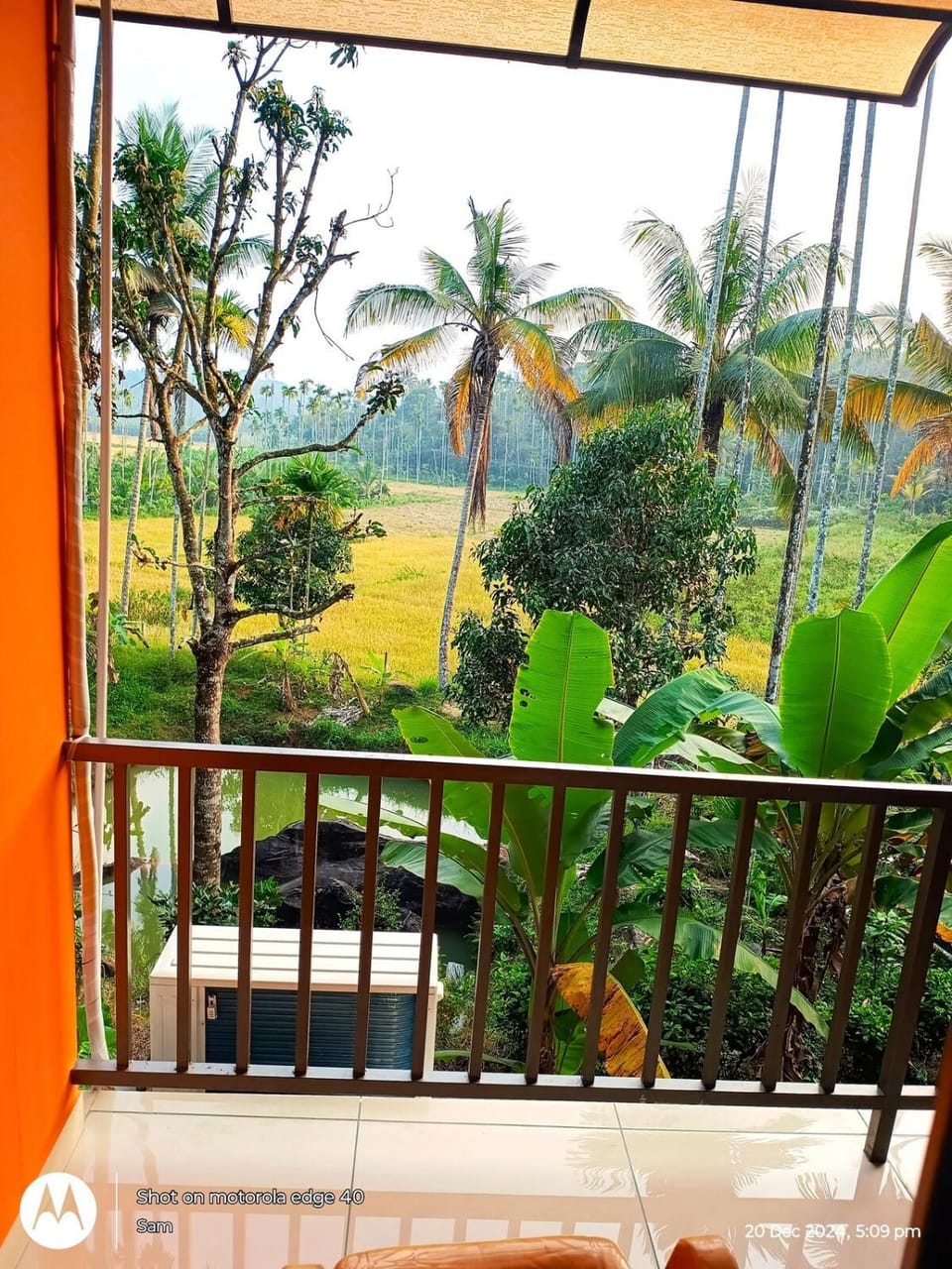 Goldenpeak Estate-Homestay-3Bed-A frame Holiday Home Villa in Kerala