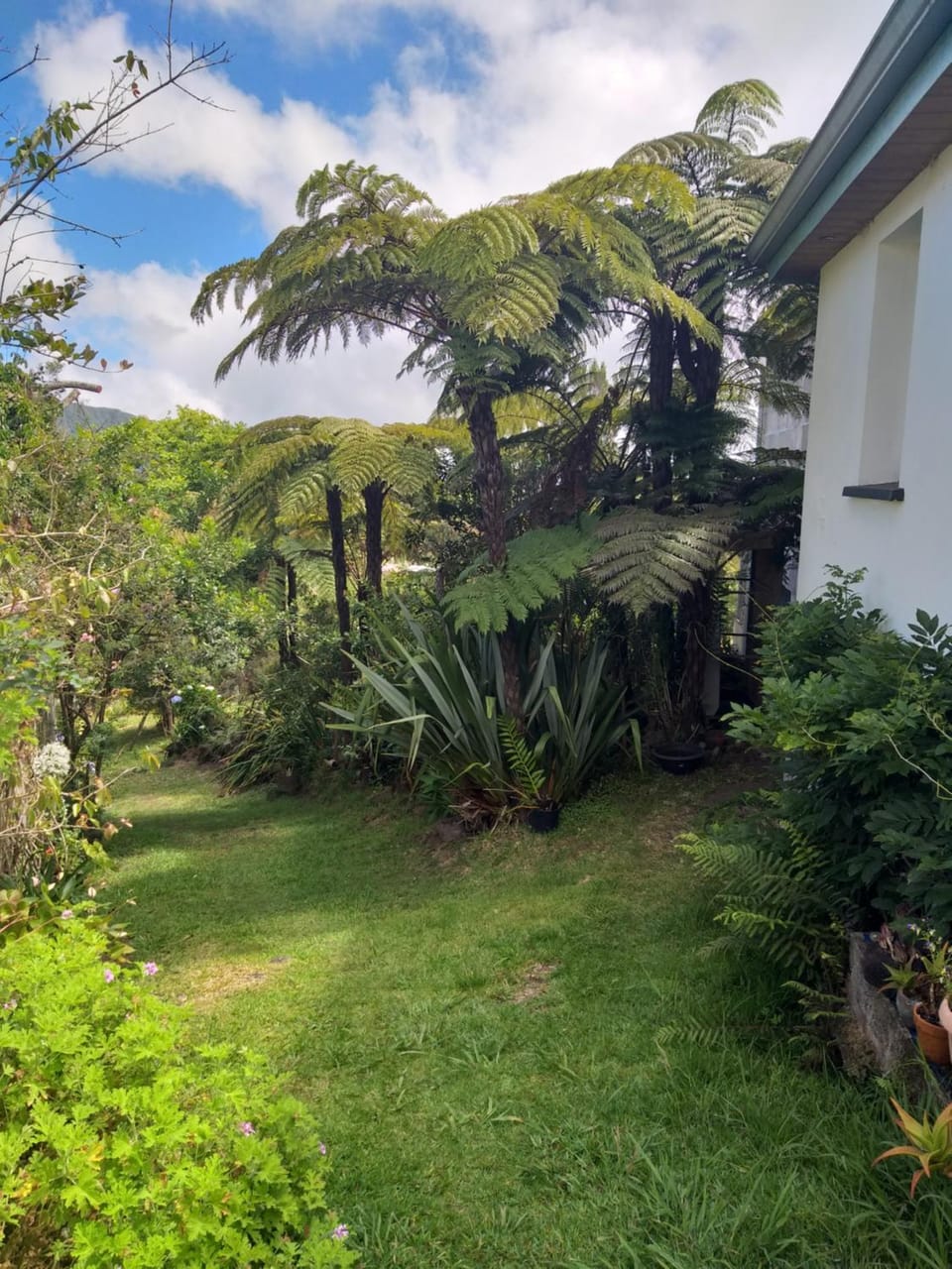 Au défi d'Henréliane Bed and Breakfast in Réunion