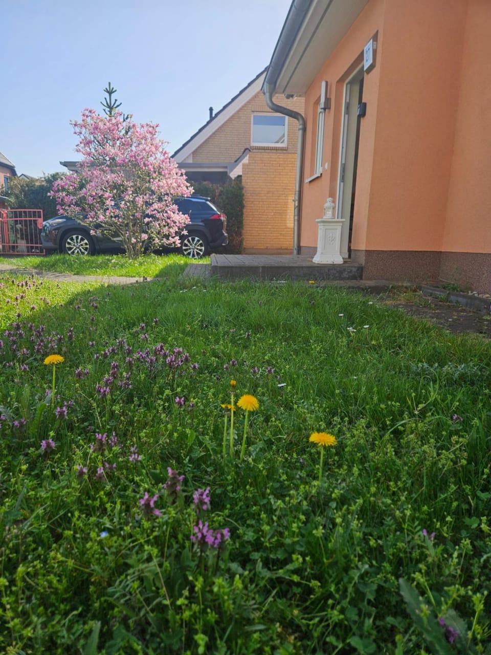 Cozy house and free parking Apartment in Berlin