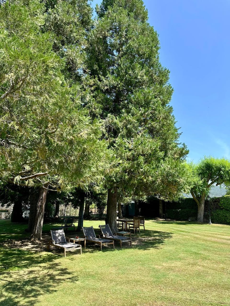 Spring, Day, Natural landscape, Garden, Garden view