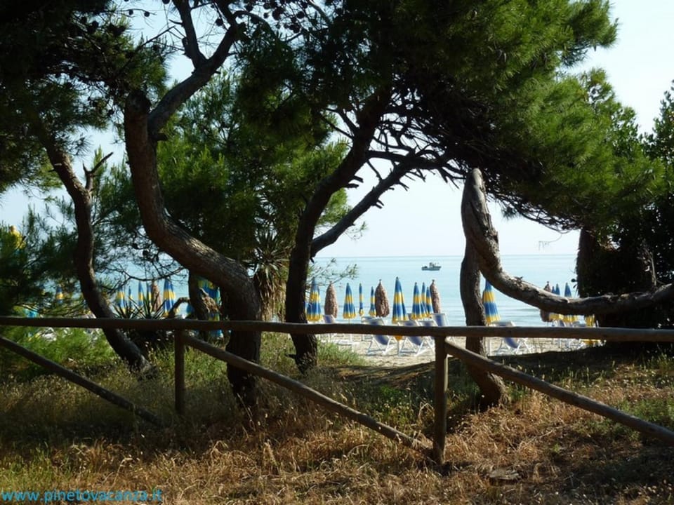 Nearby landmark, Neighbourhood, Natural landscape