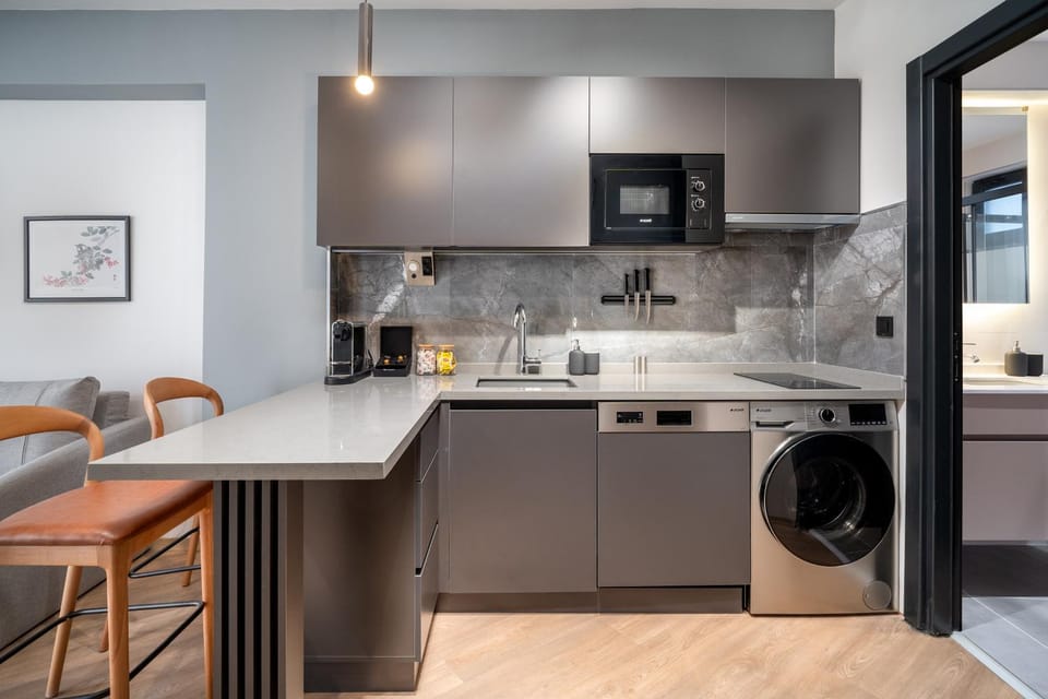 Kitchen or kitchenette, dishwasher, washing machine