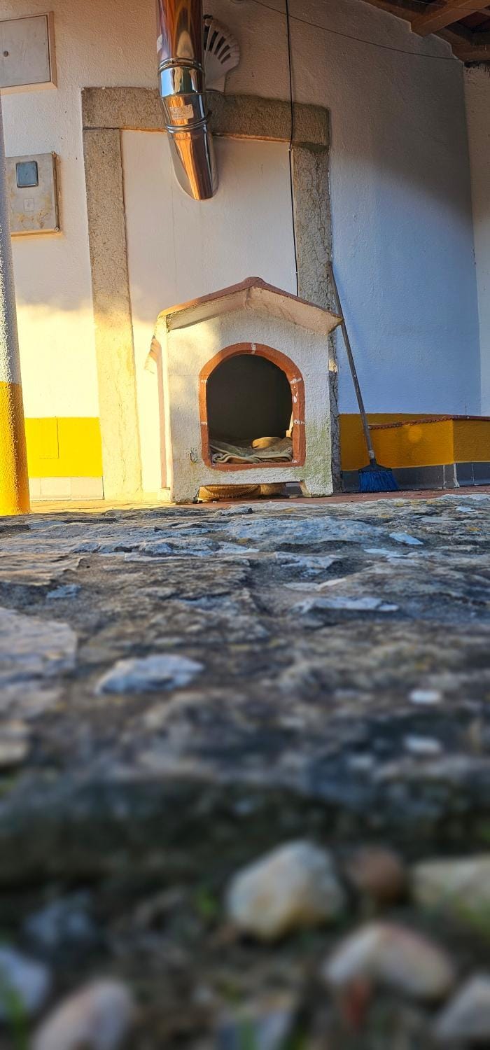 pet friendly