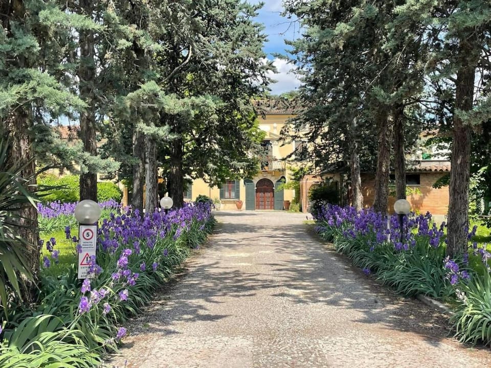 Natural landscape, Garden