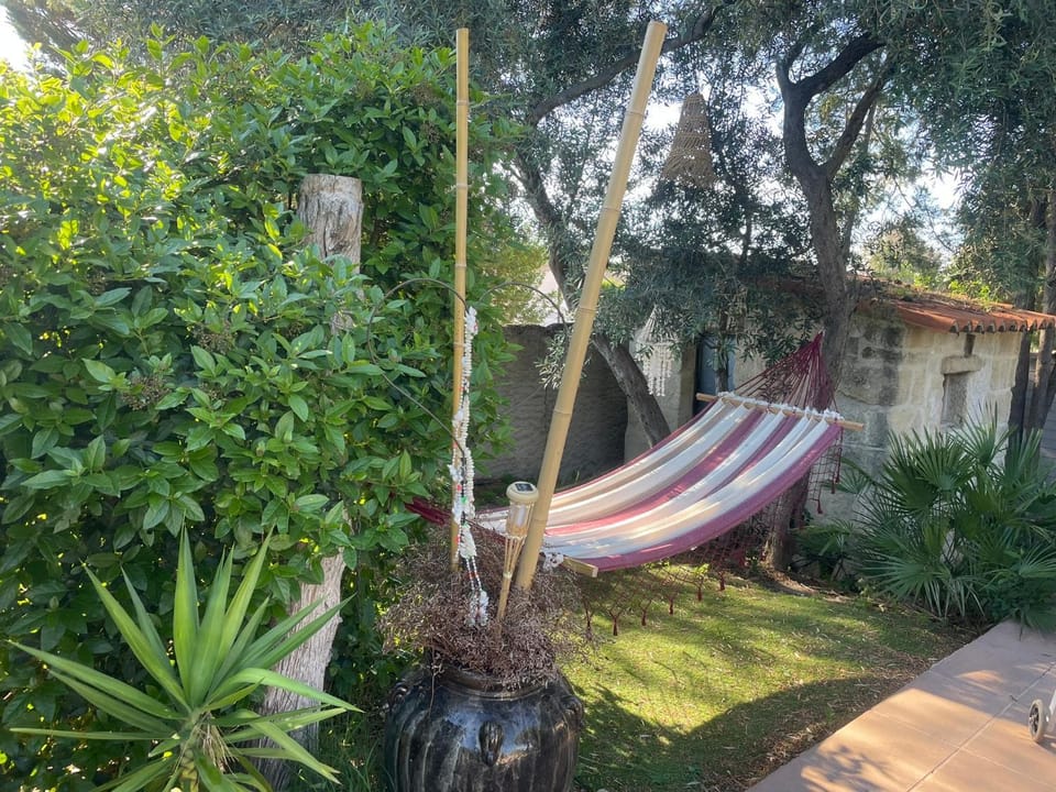 De la suite dans les oliviers Bed and Breakfast in Occitanie