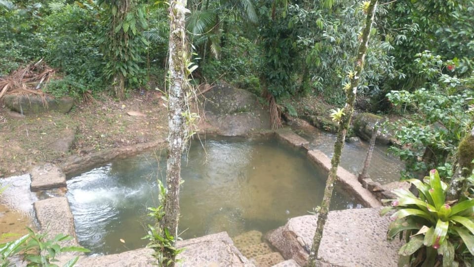 Natural landscape, Pool view, Swimming pool