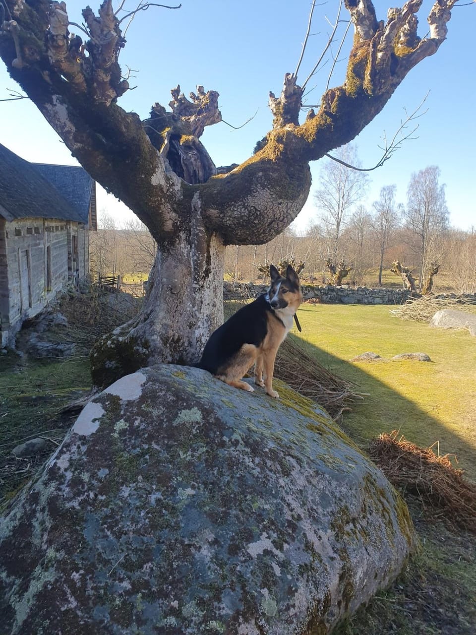 Nearby landmark