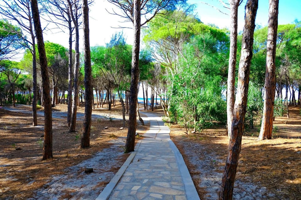 Natural landscape