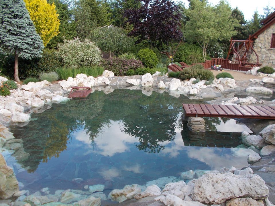 Lake view, Pool view, Swimming pool, Swimming pool