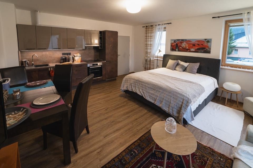 Bed, Kitchen or kitchenette, Living room, Photo of the whole room, Seating area, Dining area, Bedroom, oven, stove