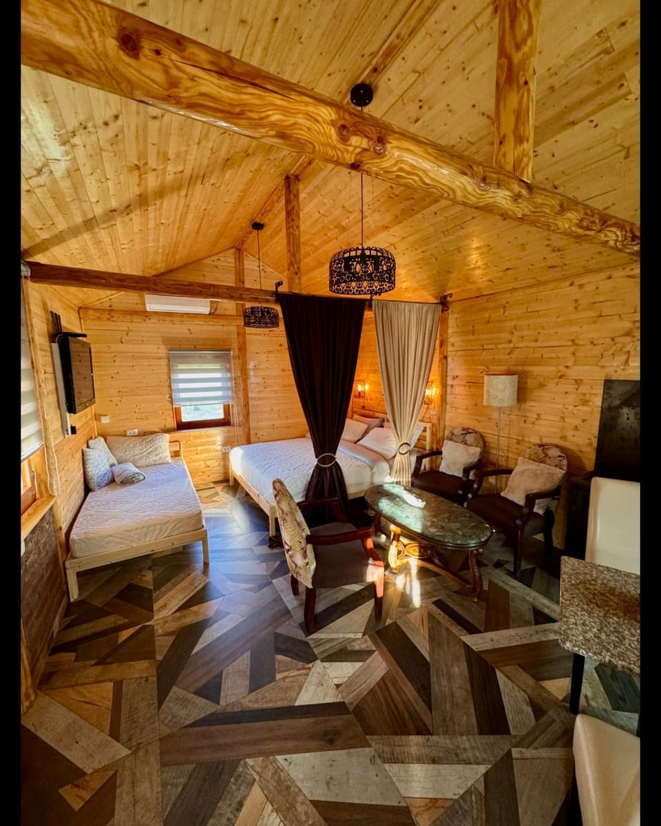 Bed, TV and multimedia, Living room, Photo of the whole room, Seating area, Bedroom
