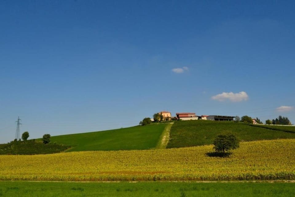 Day, Natural landscape