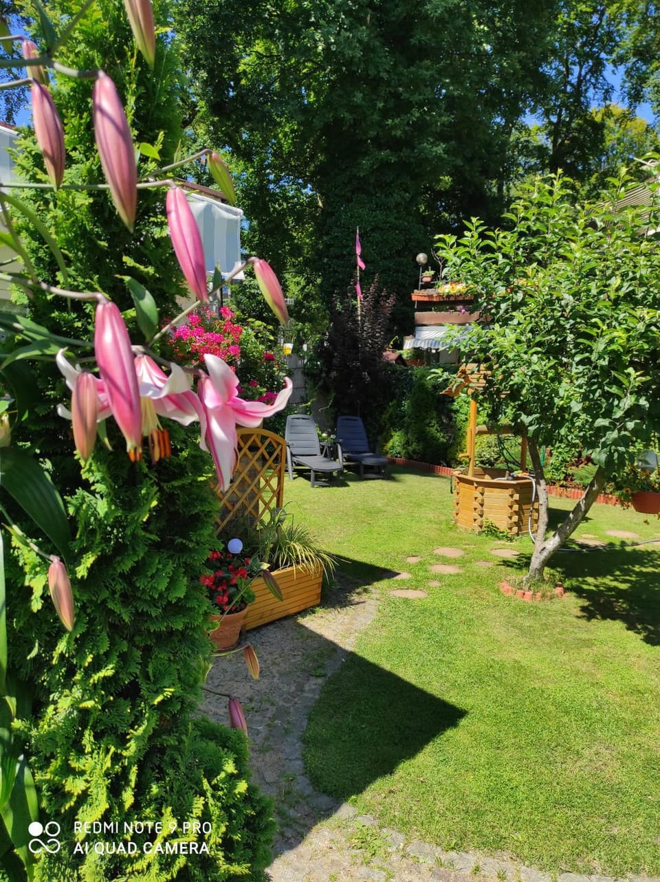 Garden, Garden view