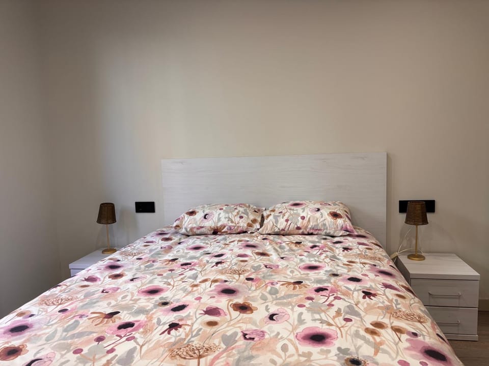 BPirineos-La Solana Apartment in Benasque