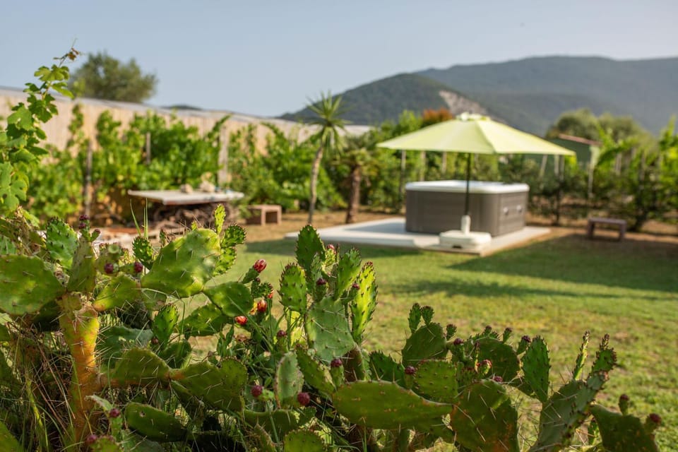 Spring, Day, Natural landscape, Garden, Garden view, Mountain view