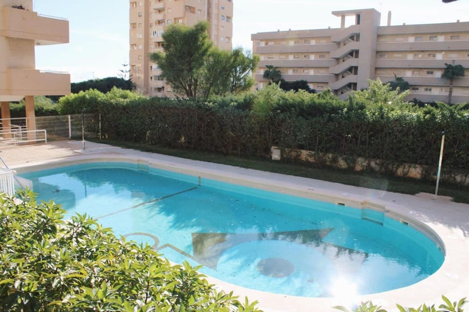 Pool view, Swimming pool
